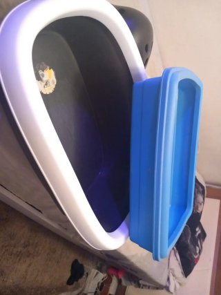 Urinarios para gatos