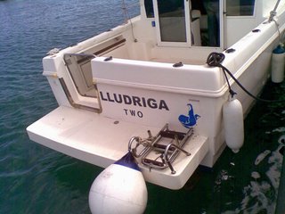 Elamd 24 Cabin Fish