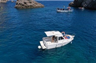 Elamd 24 Cabin Fish