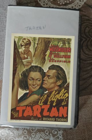 Il figlio di Tarzan VHS