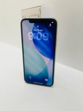 iPhone 11 Pro 256GB 100%
