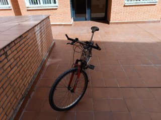 Bicicleta de Montaña