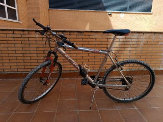 Bicicleta de Montaña