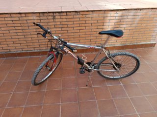 Bicicleta de Montaña