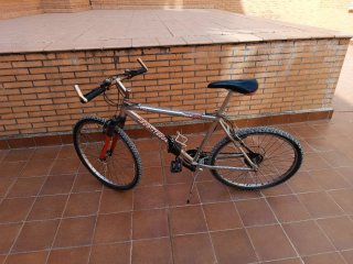 Bicicleta de Montaña
