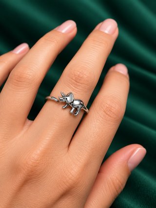 Anillo de Plata con Diseño de Dinosaurio