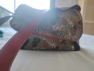Bandolera Carolina Herrera