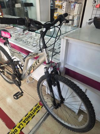 Bicicleta Flame Aluminum