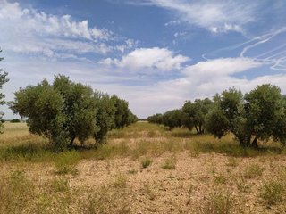 Casa rural en venta en Tomelloso