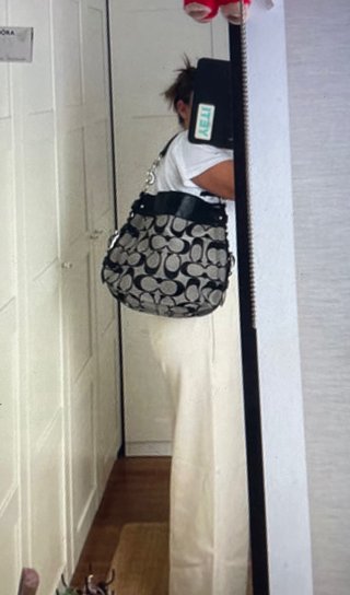 Bolso Coach Canvas
