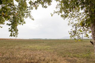 Chalet en venta en Pinos Puente