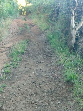 Terreno en venta en Sauzal (El)