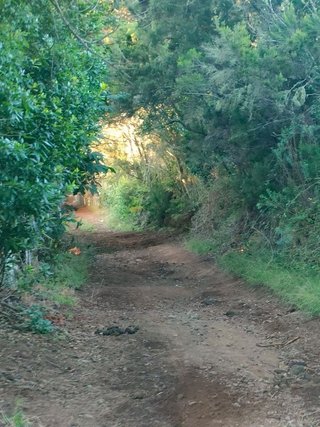 Terreno en venta en Sauzal (El)