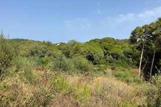 Solar en venta en Sotogrande Alto en San Roque