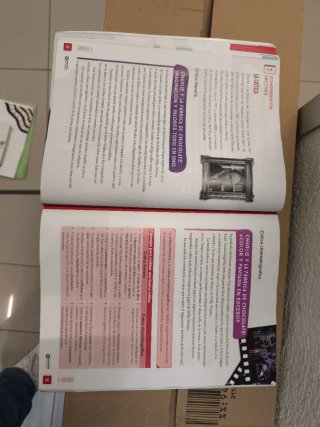 Lengua castellana, 6 Educación Primaria, Progra...