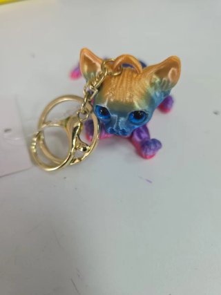 Llavero de Gato Multicolor