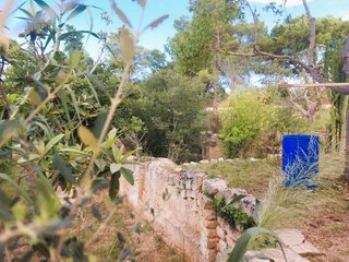 Casa rural en venta en Muro en Muro