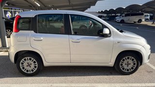 FIAT Panda 1.2 Easy 51kW 69CV 5p. 2019