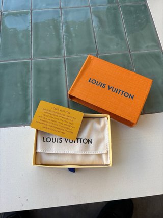 Cartera Louis Vuitton Estampado Invierno