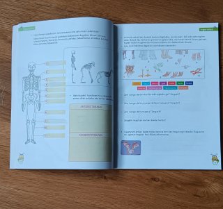 Oporretako koadernoa LH6: erantzunekin