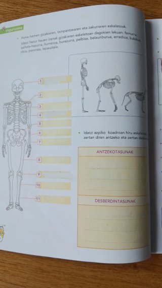 Oporretako koadernoa LH6: erantzunekin