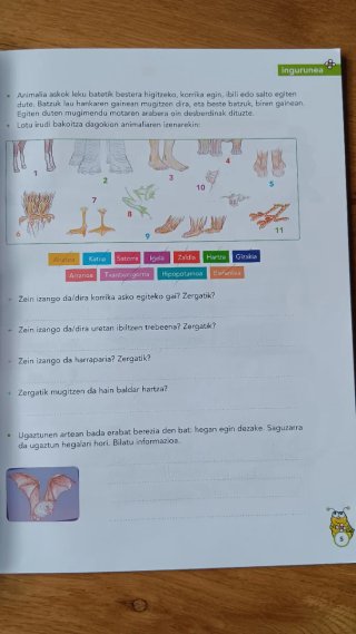 Oporretako koadernoa LH6: erantzunekin