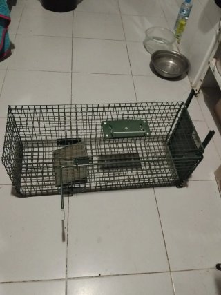 Trampa para ratas metálica