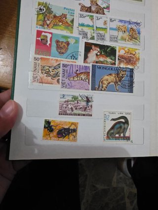 Francobolli animali selvaggi