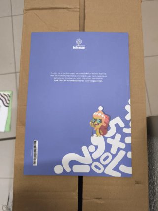 Els jocs d’en Lemon, 6è Primària, EMAT