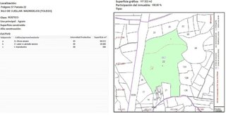 Terreno en venta en Madridejos