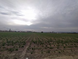 Local comercial en venta en Cases de Bàrcena en Valencia
