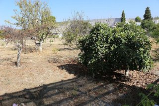 Terreno en venta en San Francisco en Lucena