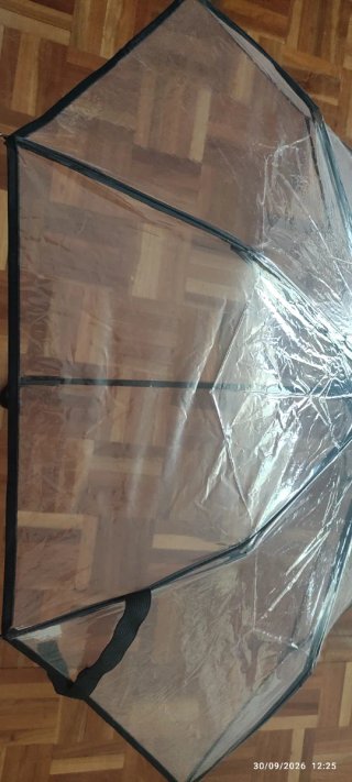 Paraguas Transparente