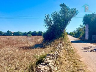 Cortijo en venta en Campos