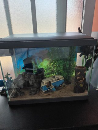 Acuario 20L con accesorios