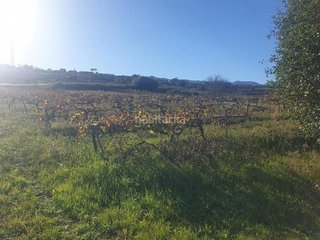 Terreno en venta en Sauzal (El)