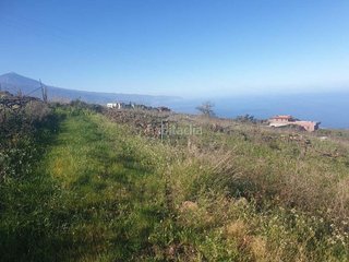 Terreno en venta en Sauzal (El)
