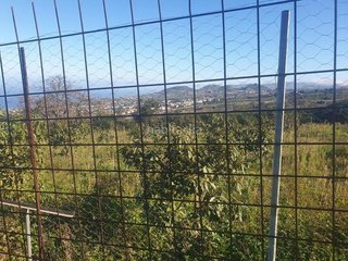 Terreno en venta en Sauzal (El)