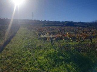 Terreno en venta en Sauzal (El)