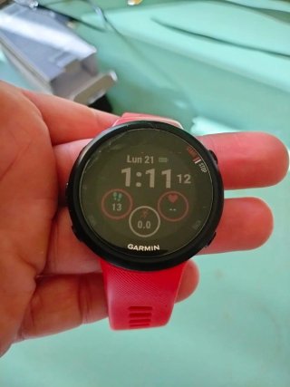 Reloj Garmin Forerunner 45