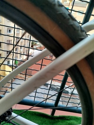 Bicicleta Gravel Trek Checkpoint SL5