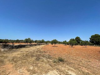 Terreno en venta en Llucmajor Interior en Llucmajor