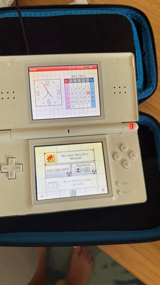 Nintendo 2DS Rosa 2 Nintendo DS Blancas