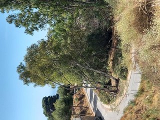 Terreno en venta en Mijas Pueblo en Mijas