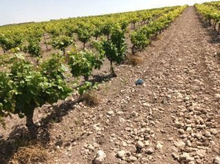 Terreno en venta en Puerta de Toledo - Atalaya en Ciudad Real