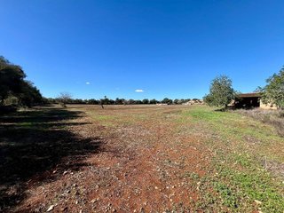 Terreno en venta en Campos