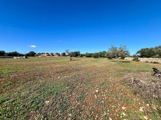 Terreno en venta en Campos