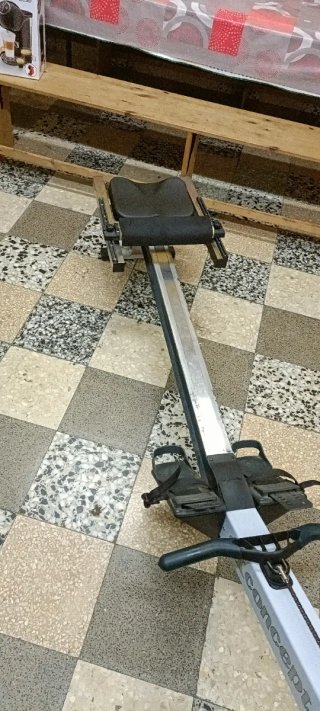Concept 2 Modelo D Remo Indoor