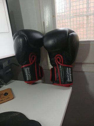 Guantes de Boxeo Danger Edición Especial