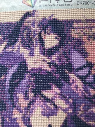 Diamond Painting Fiyo - Diseño Anime
